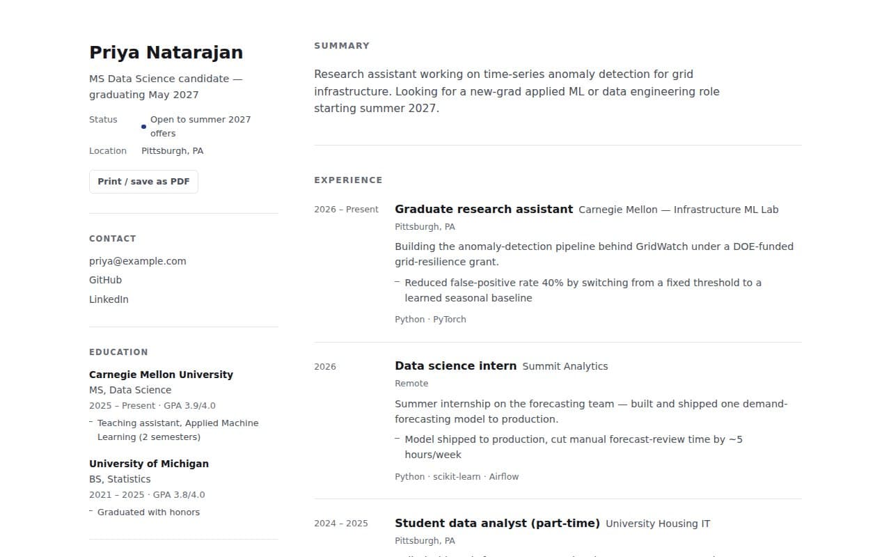 Ledger template preview